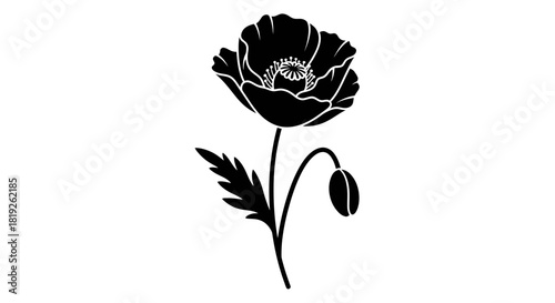 Striking poppy flower silhouette with contrasting black fill against the white background