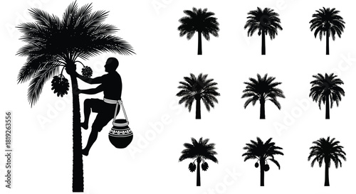 Silhouette of a palm tree climber collecting palm sap and a few palm trees