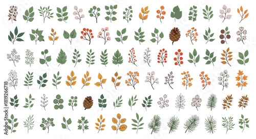 An extensive collection of diverse botanical elements featuring various leaves, colorful berries, pinecones, evergreen branches, and blossoms, ideal for nature-themed designs.