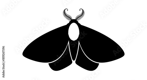 Monochrome moth with distinctive feathery antennae, gracefully silhouetted against a plain