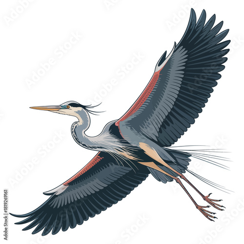 great blue heron