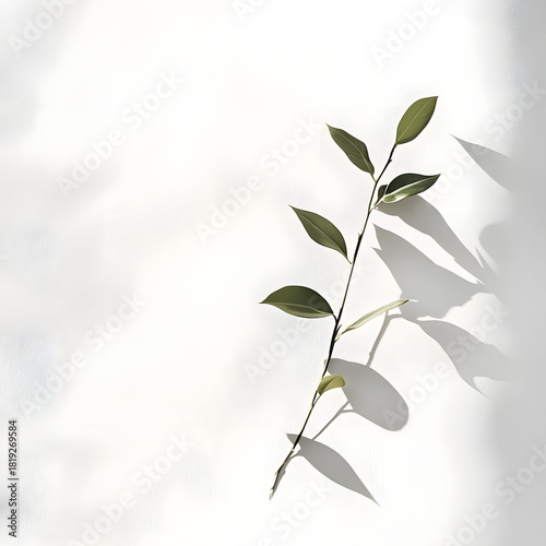 Abstract Background Background Design