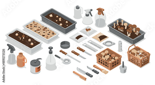 Isometric mushroom cultivation supplies for home gardening enthusiasts