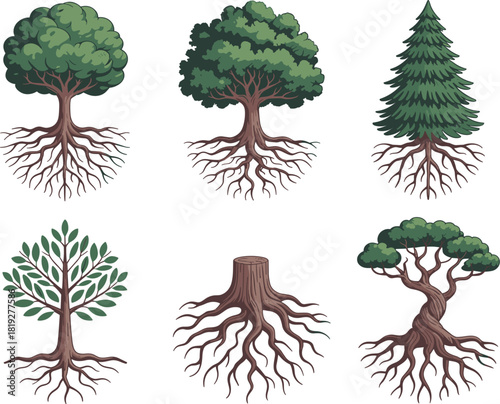 Vector illustration set of trees with visible, detailed root systems, including deciduous, conifer, and tree stump for ecology design
