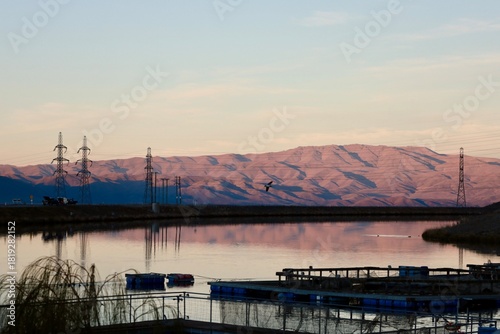 High Country Salmon, New Zealand - May 23, 2025: A salmon farm with its floating platforms in the foreground, set against mountain range dramatic lit in pink by the sunset. Power lines cross the ridge