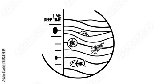 Fossil Layers Illustrating Deep Time Concept.