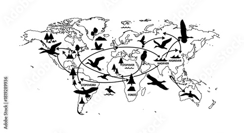 Global Bird Migration Routes and Patterns Across Continents.