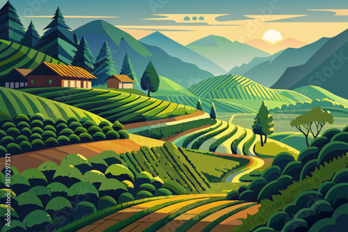 Picturesque landscape of terraced tea plantation fields vector illustration