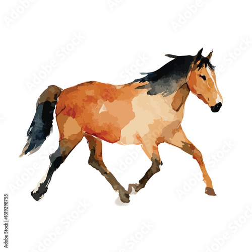 Abstract Watercolor Style Running Horse Illustration.
