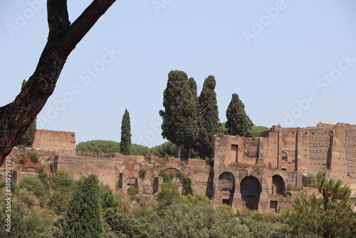 Ancient Roman ruins with cypress trees atop the Palatine Hill, captured on a sunny day with clear blue sky