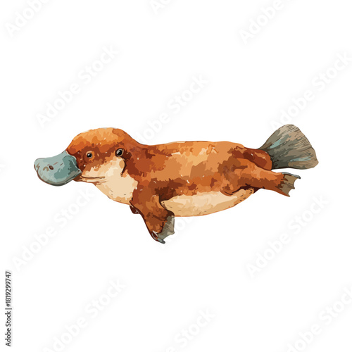 Adorable Platypus Swimming Illustration Unique Australian Wildlife Vector.