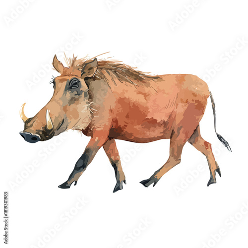 African Warthog Watercolor Illustration Walking Wild Animal.