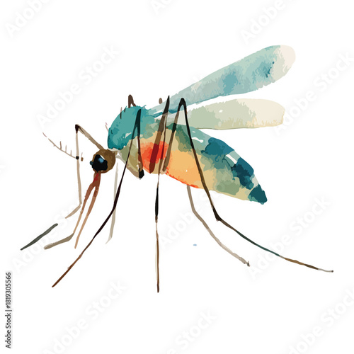 Artistic Watercolor Mosquito Insect Illustration.