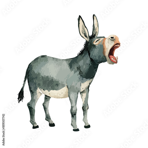 Braying Donkey Illustration Isolated on White Background.