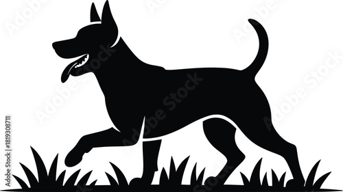 Playful Dog Silhouette in Grass