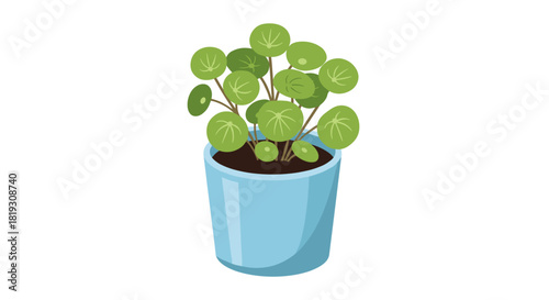 A vibrant illustration of a Chinese money plant flourishing in a blue pot, isolated on white.