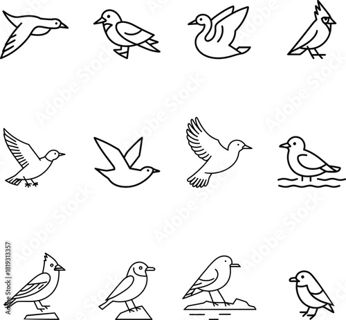 Collection of twelve black line art bird icons flying