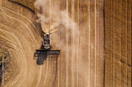 Aerial view of a combine harvester kicking up dust as it cuts through golden wheat fields, creating patterns of light and shadow, Dandaragan, Western Australia, Australia.