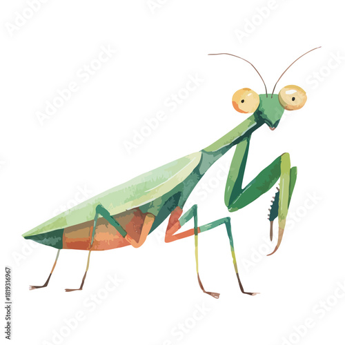Charming Green Praying Mantis Cartoon Illustration.