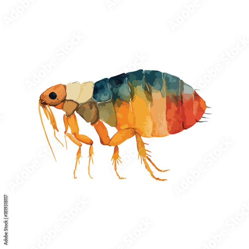 Colorful Flea Insect Vector Illustration for Pest Control.