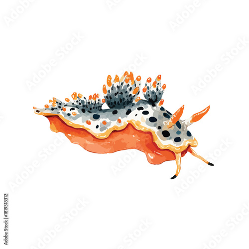 Colorful Nudibranch Sea Slug Vector Illustration.
