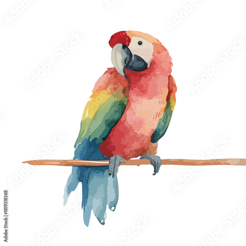 Colorful Tropical Bird Art Vibrant Watercolor Macaw Illustration.
