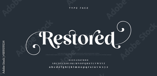 Elegant logo modern luxury alphabet font.  Typography elegant style alphabet fonts for beauty shop, decoration, business, boutique, fashion, brand, wedding, vintage design. vector illustration