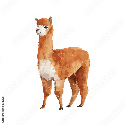 Cute Alpaca Vector Illustration Adorable Brown Llama Graphic Design Element.