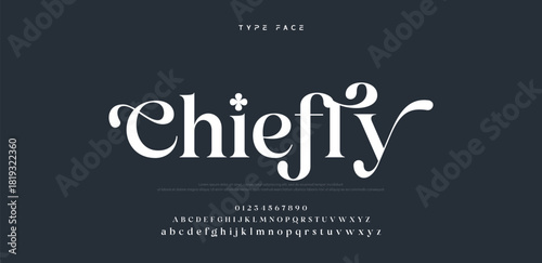 Beauty Luxury font alphabet logo. Typography beautiful fashion elegant classic letters serif italic fonts decorative wedding vintage blossom logos. vector illustration