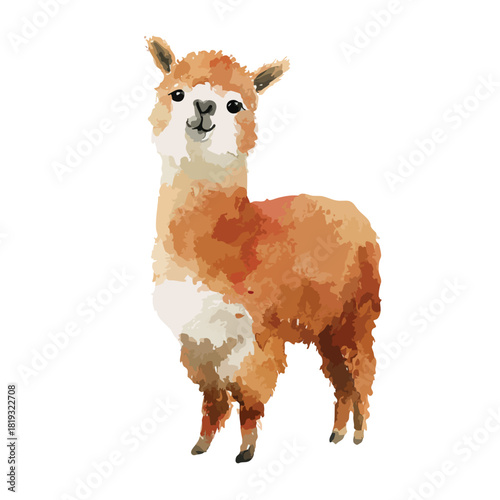 Cute Alpaca Watercolor Illustration Standing on White Background.