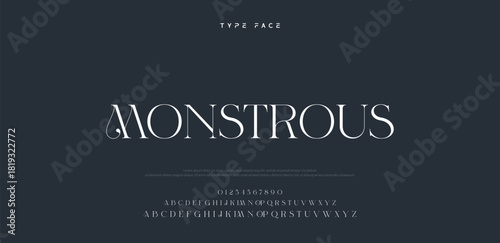 Beauty Luxury font alphabet logo. Typography beautiful fashion elegant classic letters serif italic fonts decorative wedding vintage blossom logos. vector illustration