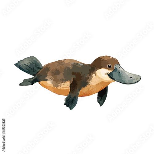 Cute Australian Platypus Swimming Illustration.