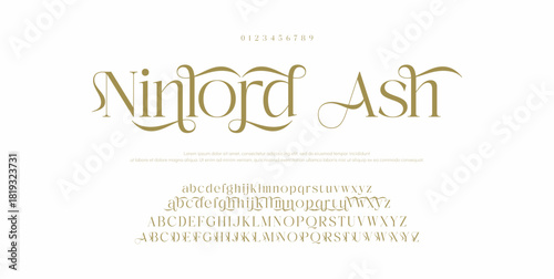 Lettering Fashion Designs. Modern elegant alphabet letters font and number. Minimalist typography fonts regular, typeface uppercase and lowercase.