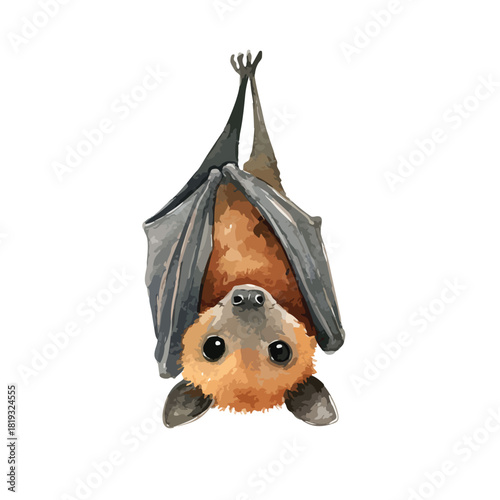 Cute Bat Hanging Upside Down Adorable Flying Fox Illustration.