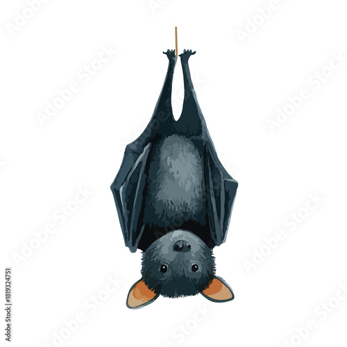 Cute Bat Hanging Upside Down Vector Illustration.
