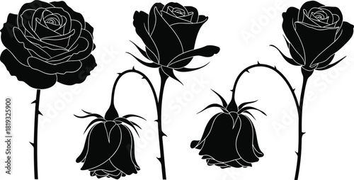 Set of black rose silhouettes featuring blooming flowers and wilting buds on thorny stems, vector illustration isolated on white background, for gothic floral design.