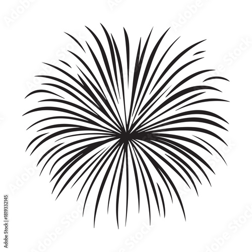 Fireworks silhouette, fireworks silhouette isolated on white background, celebratory explosion elements