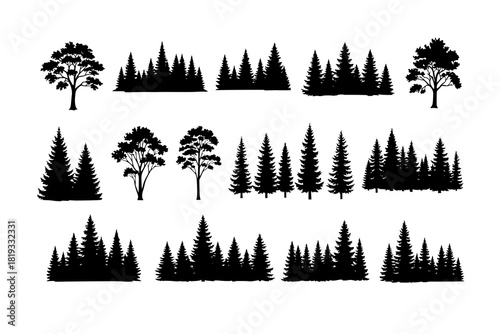 Vintage trees and forest silhouettes set in monochrome style isolated vector illustration, evergreen coniferous forest trees collection.

