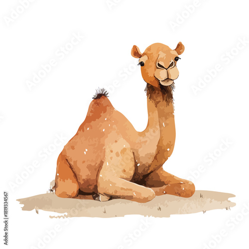 Cute Desert Camel Resting Illustration.