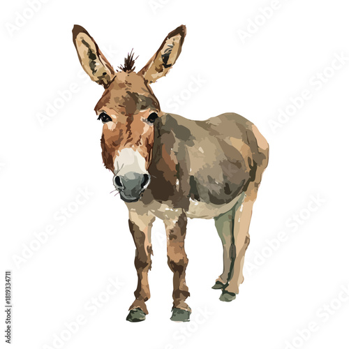Cute Farm Animal Donkey Vector Illustration Isolated on White.