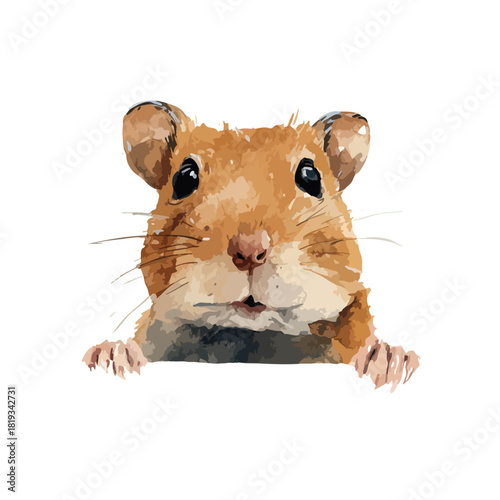 Cute Hamster Peeking Vector Illustration.
