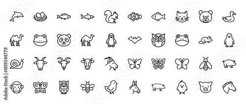 Animals line icon set. Vector pictograms of fish, shark, dolphin, camel, panda, cat, owl, penguin, goat, butterfly, pig, and horse, thin linear illustration.