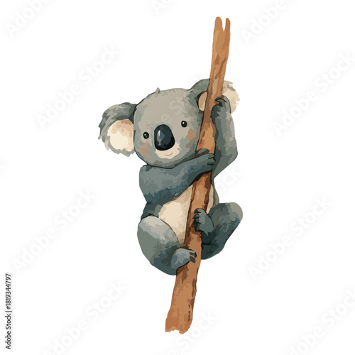 Cute Koala Bear Clinging to Branch Watercolor Illustration.