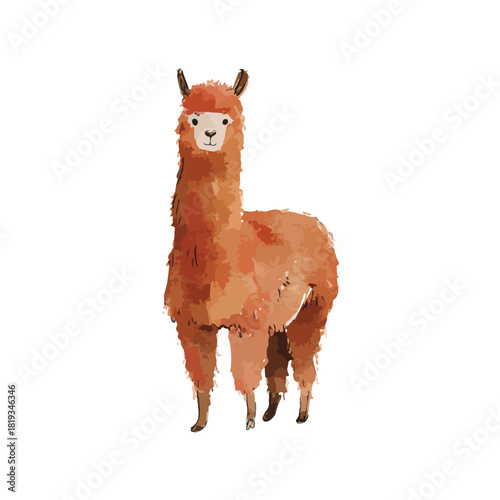 Cute Llama Watercolor Illustration for Childrens Designs.