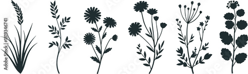 Set of six elegant botanical silhouettes of wildflowers and leaves on beige background, minimalist nature vector design illustration
