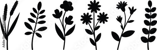 Set of six elegant botanical silhouettes of wildflowers and leaves on beige background, minimalist nature vector design illustration