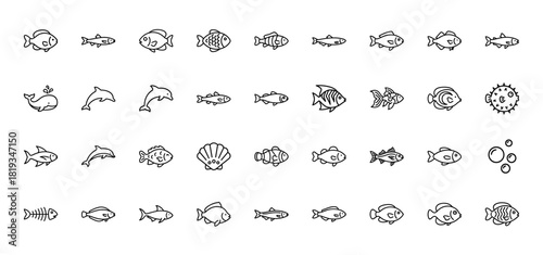 Marine life line icon set. Vector pictograms of various fish, dolphins, whales, seashells, and fish skeletons, thin linear illustration.