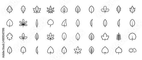 Nature line icon set. Vector pictograms of diverse tree and plant leaves, including maple, oak, ovate, and serrated forms, thin linear illustration.