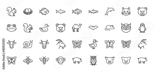 Animal line icon set. Vector pictograms of fish, dolphin, squirrel, camel, duck, bear, cat, frog, owl, cow, butterfly, pig, monkey, chick, and donkey, thin linear illustration.