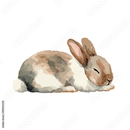 Cute Sleeping Bunny Watercolor Vector Illustration.